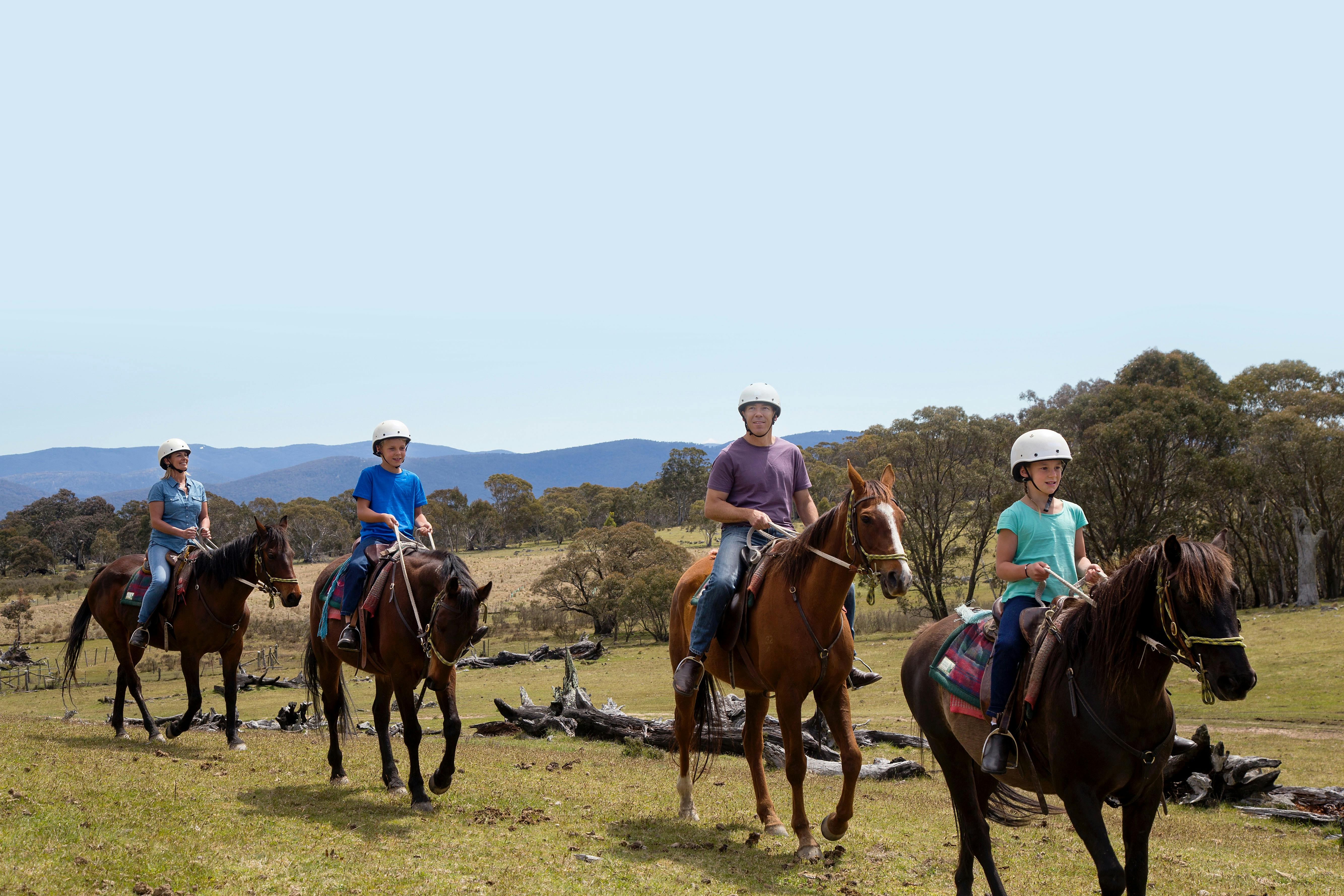더 스테이블스 리조트 페리셔