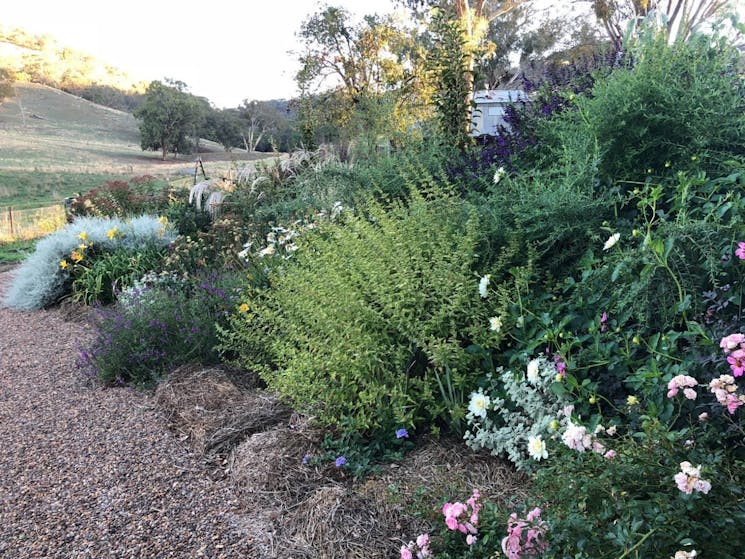 Gardens of Mudgee | NSW Holidays & Accommodation, Things to Do ...