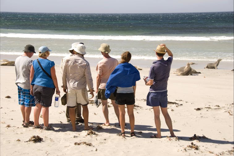 Kangaroo Island Glamping Discovery