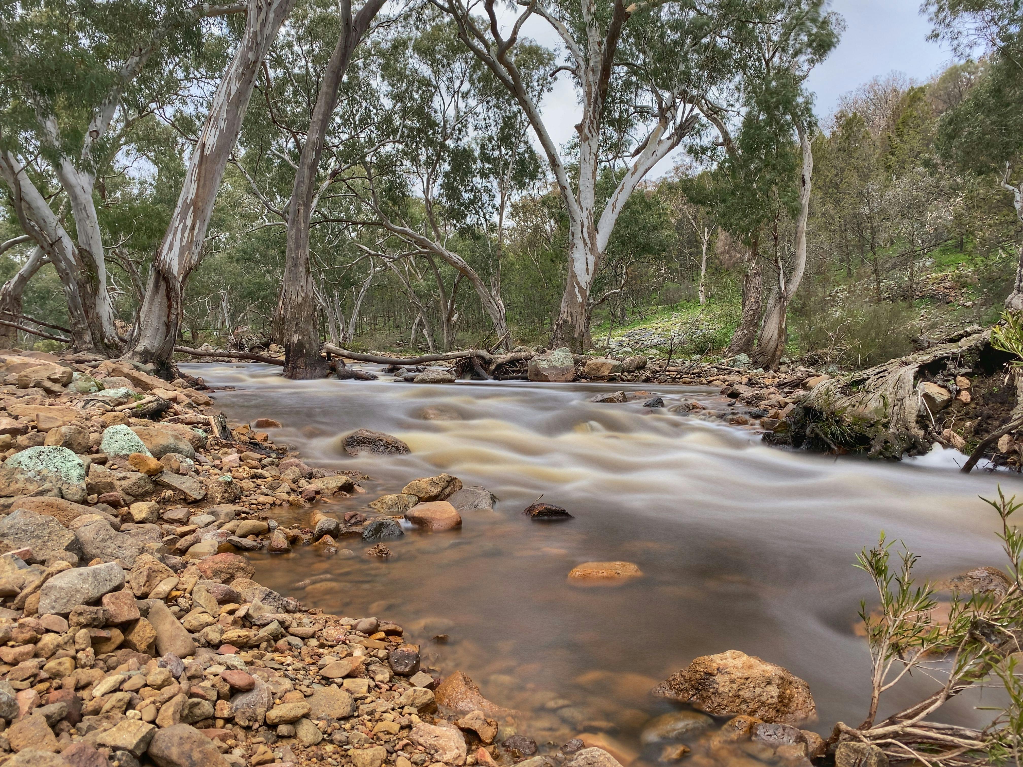 Koorawatha Falls creek water running over rocks