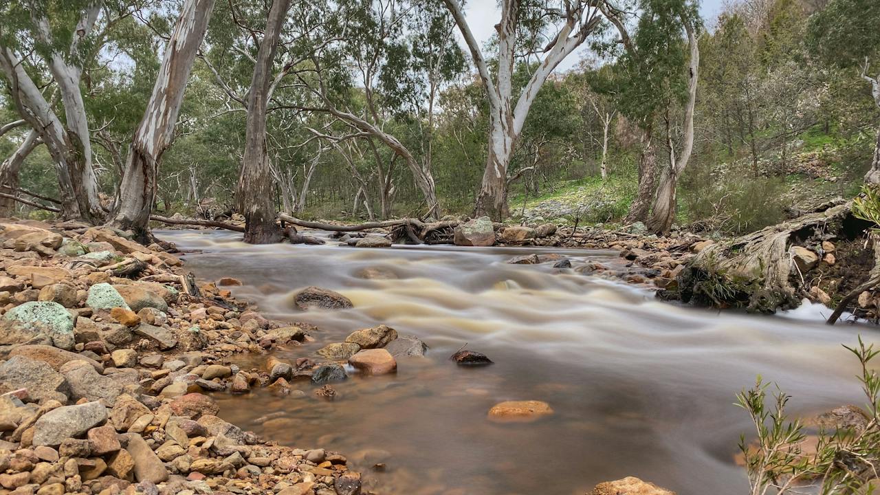 Koorawatha Falls