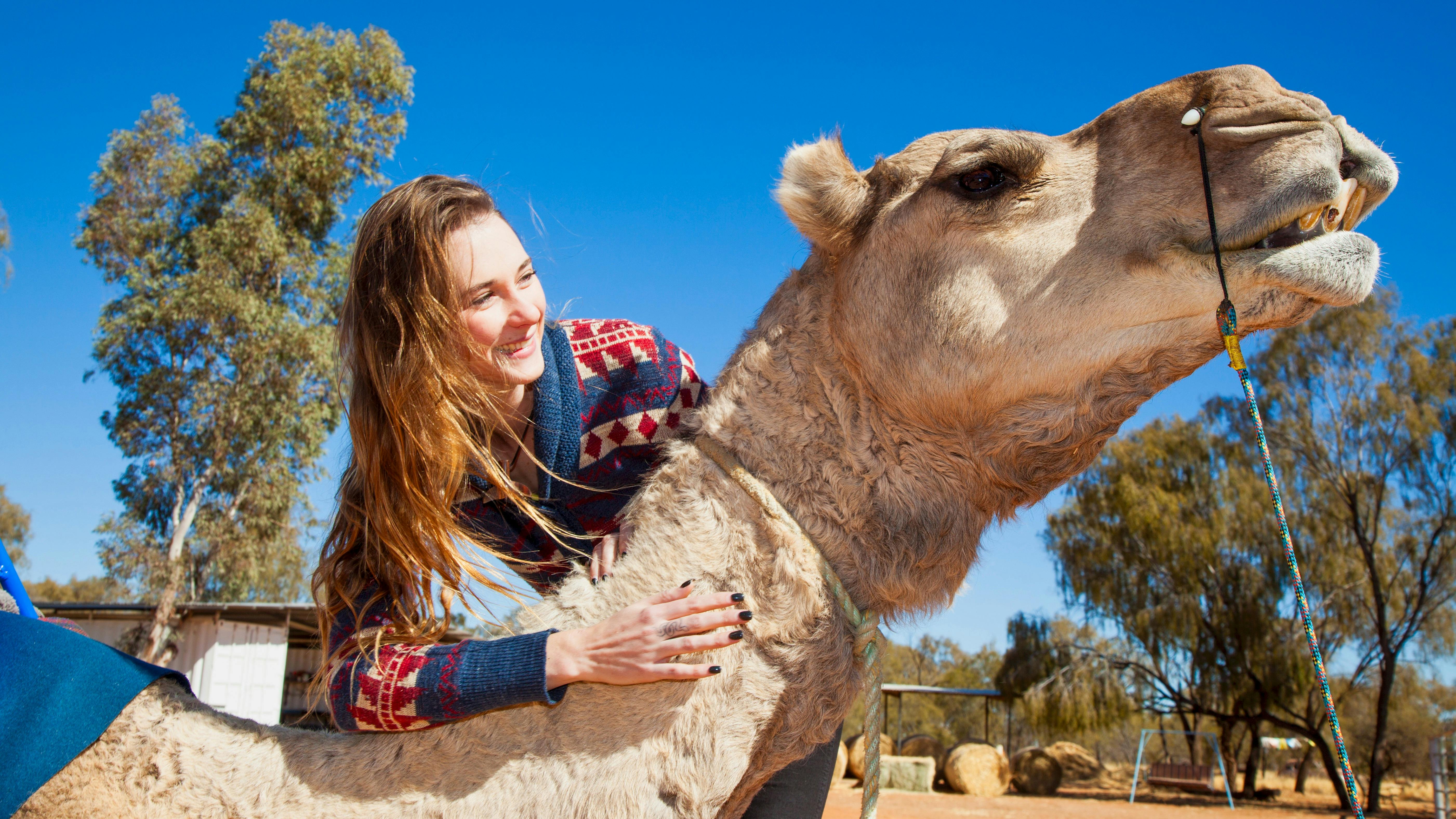 camel trek Alice Springs