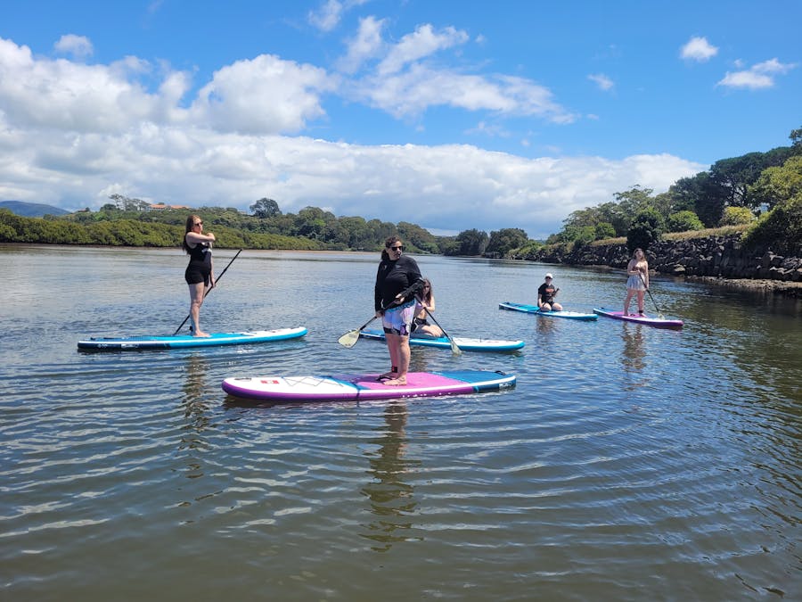 Dreaming stories by Jodi