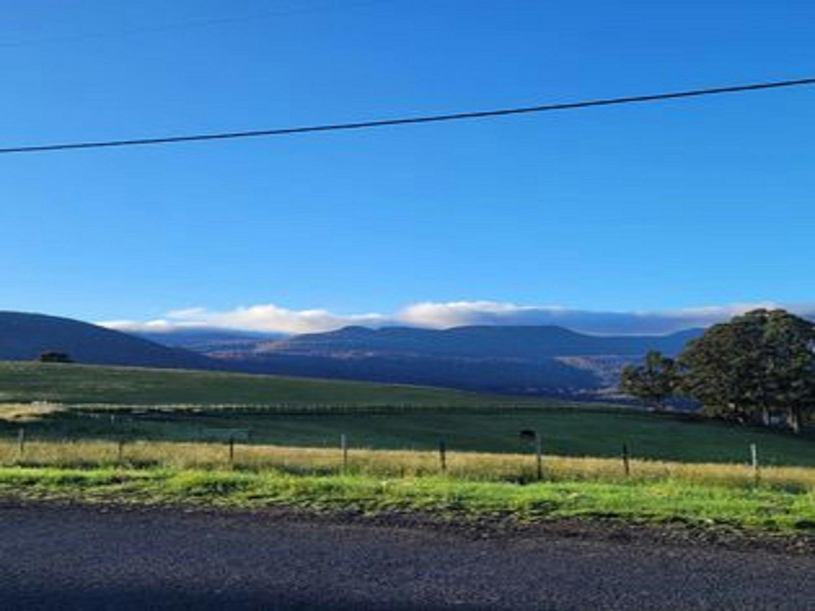 Collinsvale Market Market Discover Tasmania