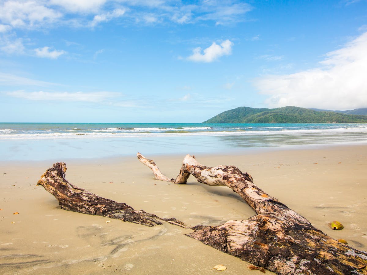 Cow Bay, Cape Tribulation Cow Bay, Cape Tribulation