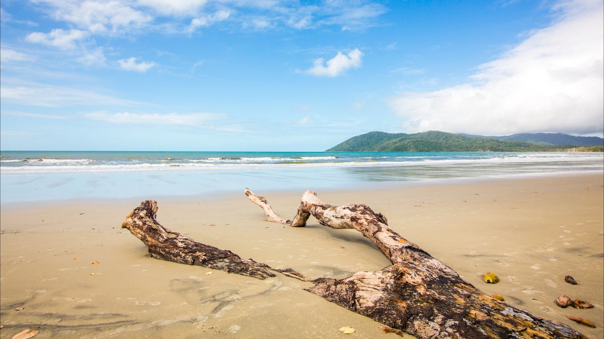 Cow Bay, Cape Tribulation