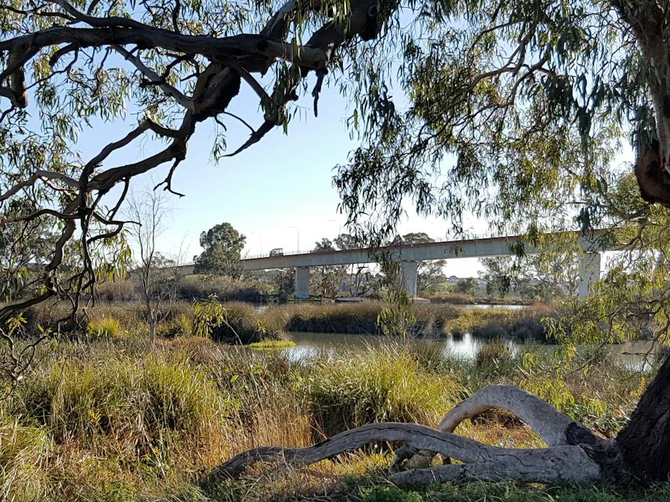 Swanport Wetlands