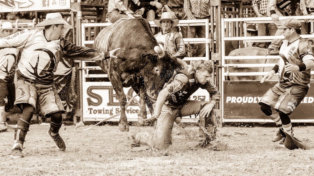 Action shot from 2020