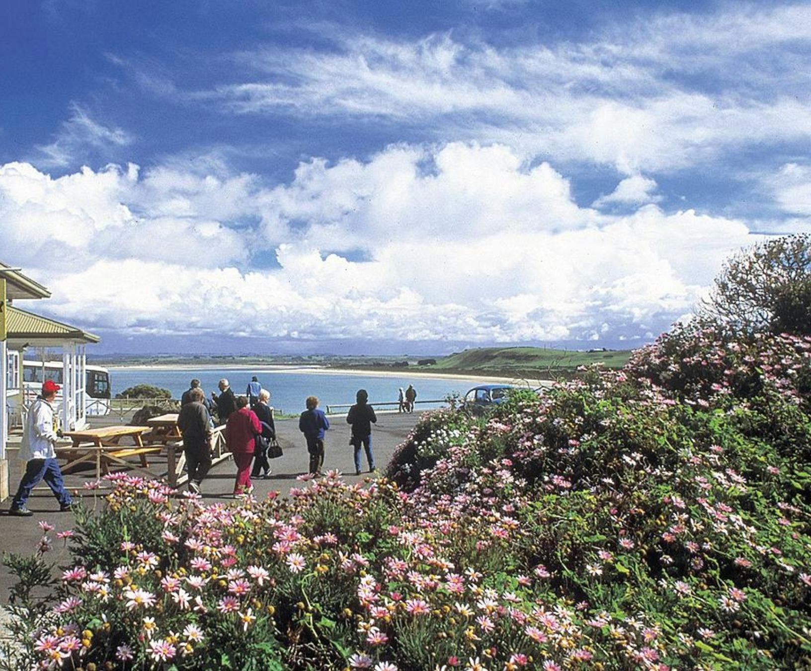 at the base of the nut, walking track starts here, public toilets, souvenir shop, cafe, Scallop Pies