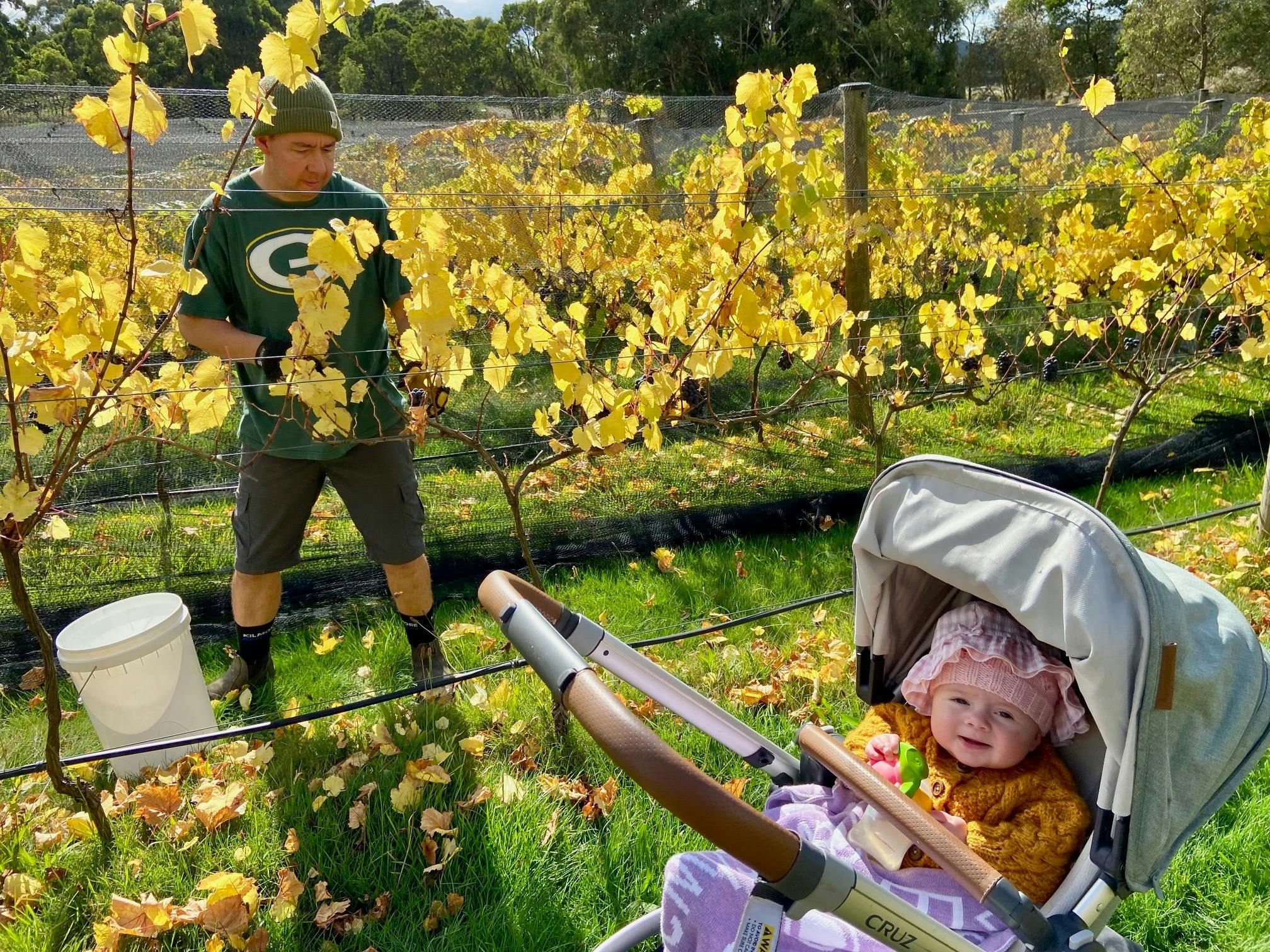 Northern Hope Winery