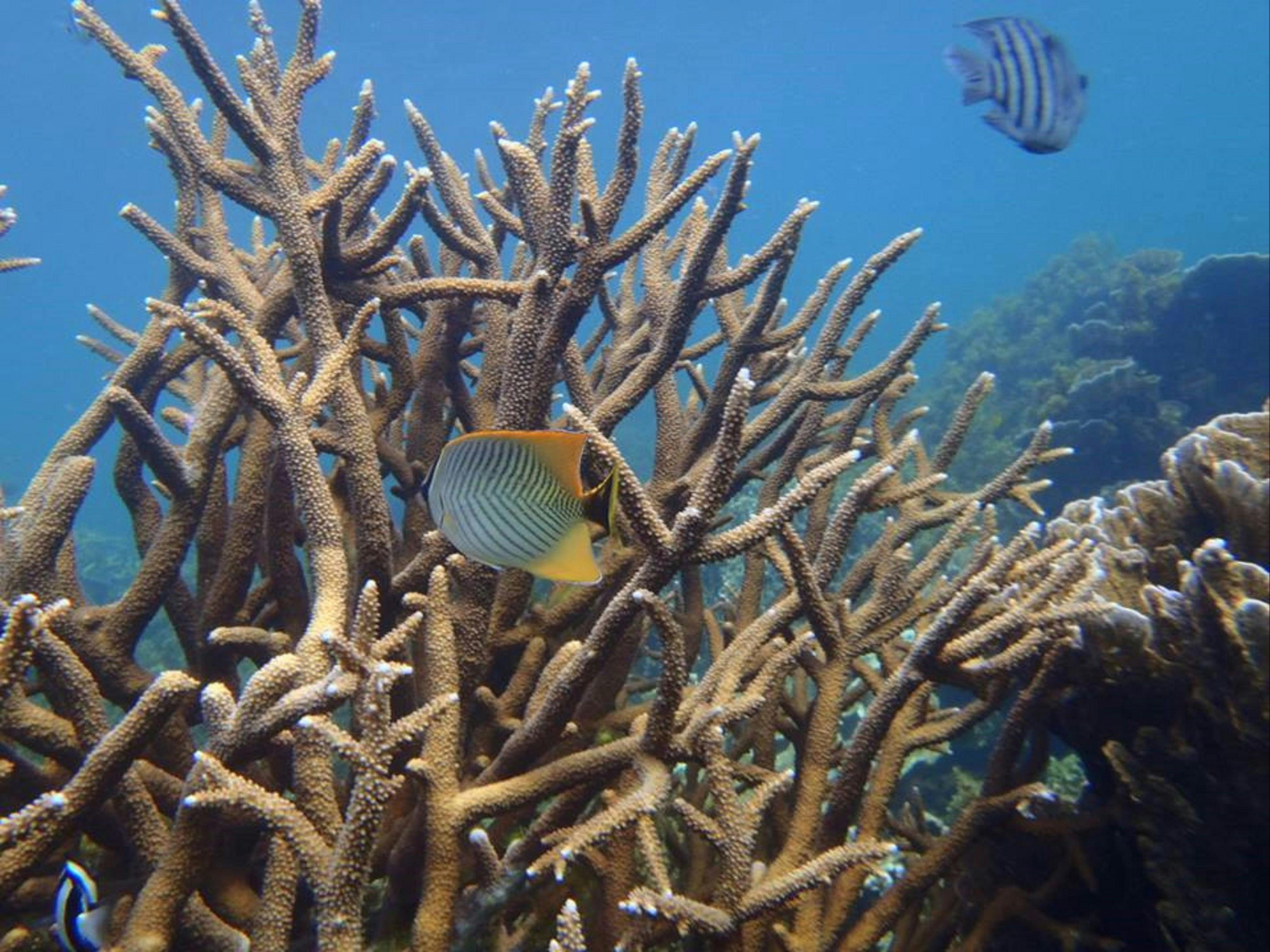 6 Day - Perth to Exmouth One Way Tour