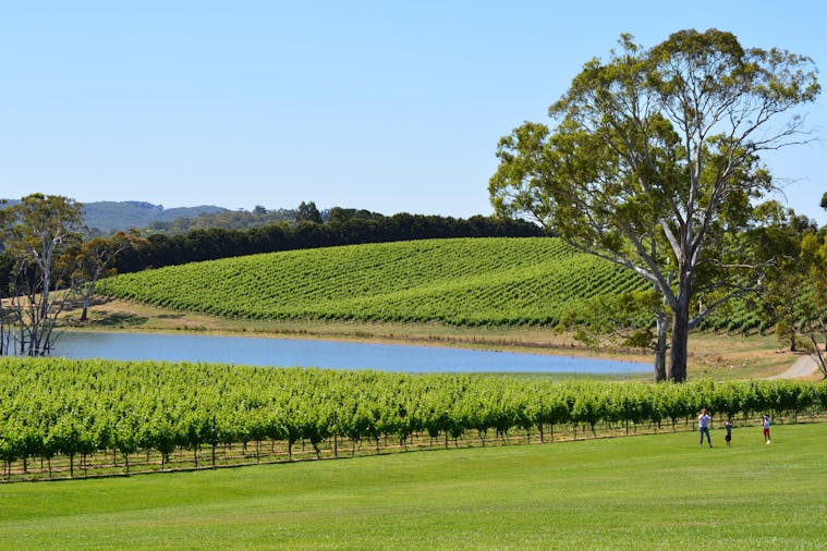 Adelaide Hills Day Tour