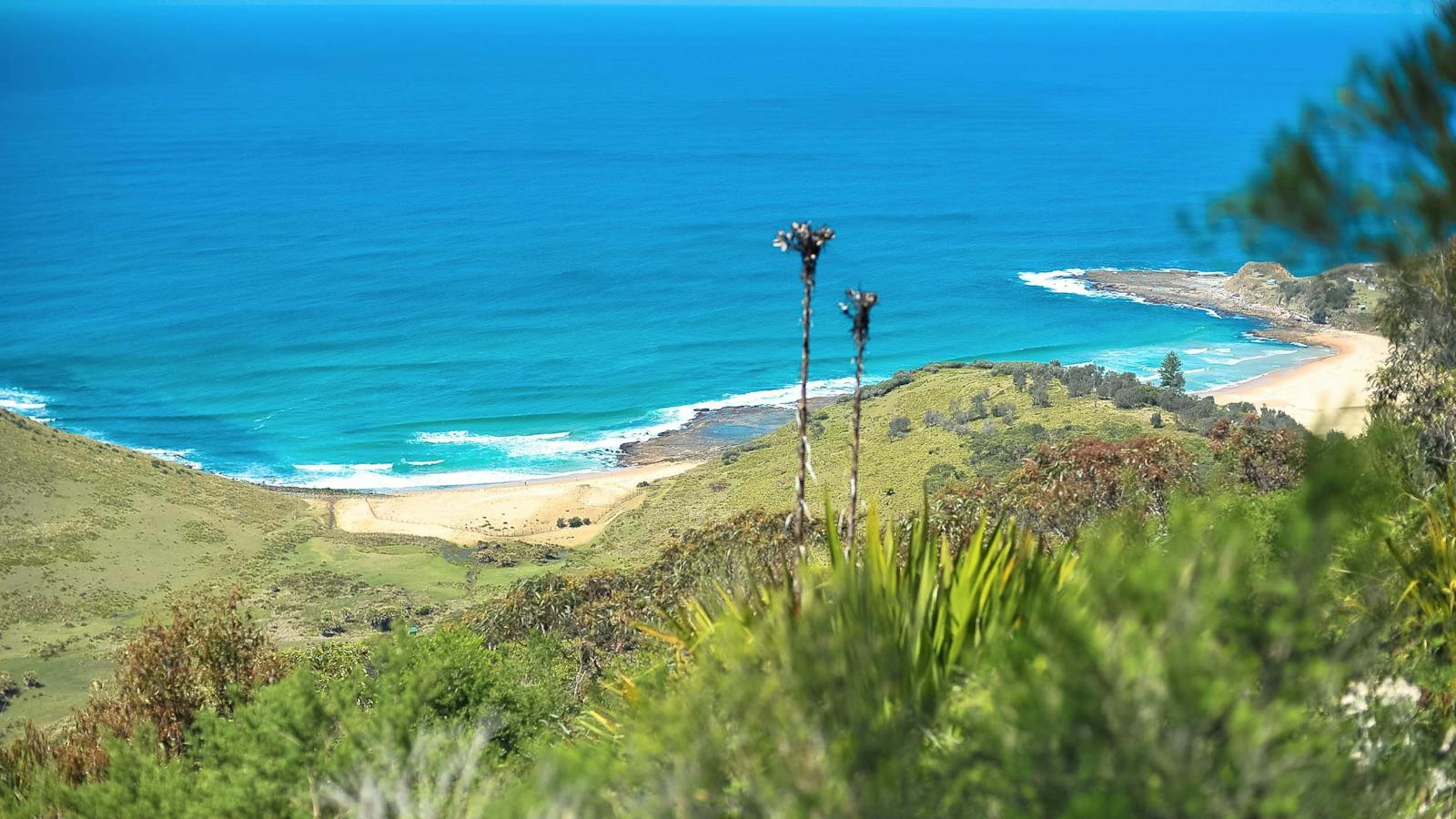 Royal National Park beaches