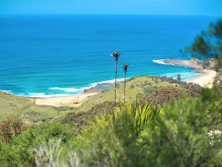 Royal National Park beaches