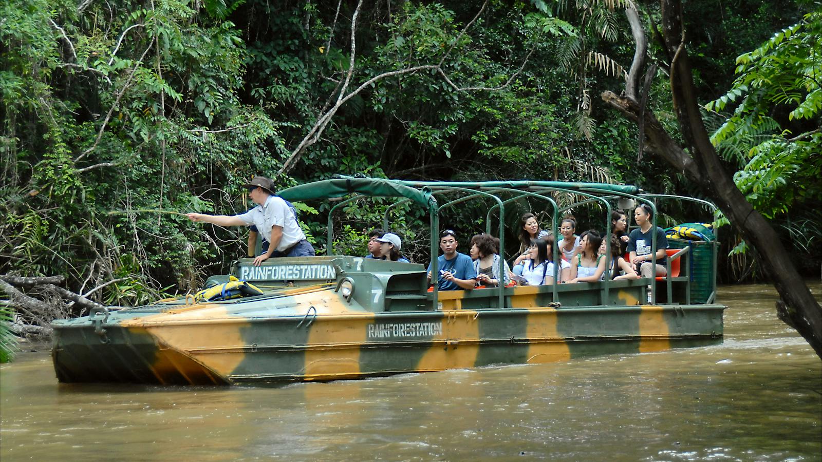Army Duck - Rainforestation