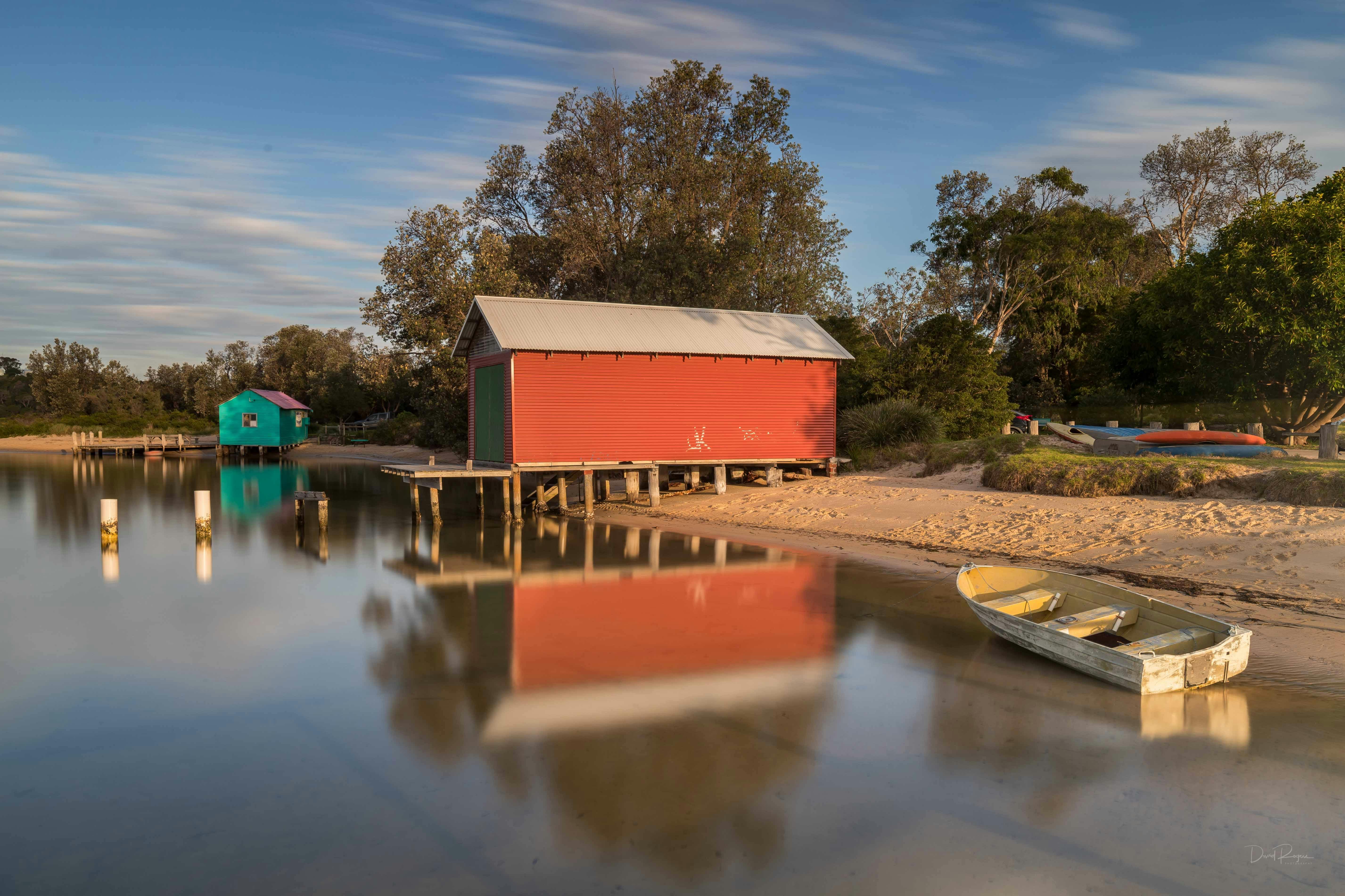 デビッド・ロジャース写真
