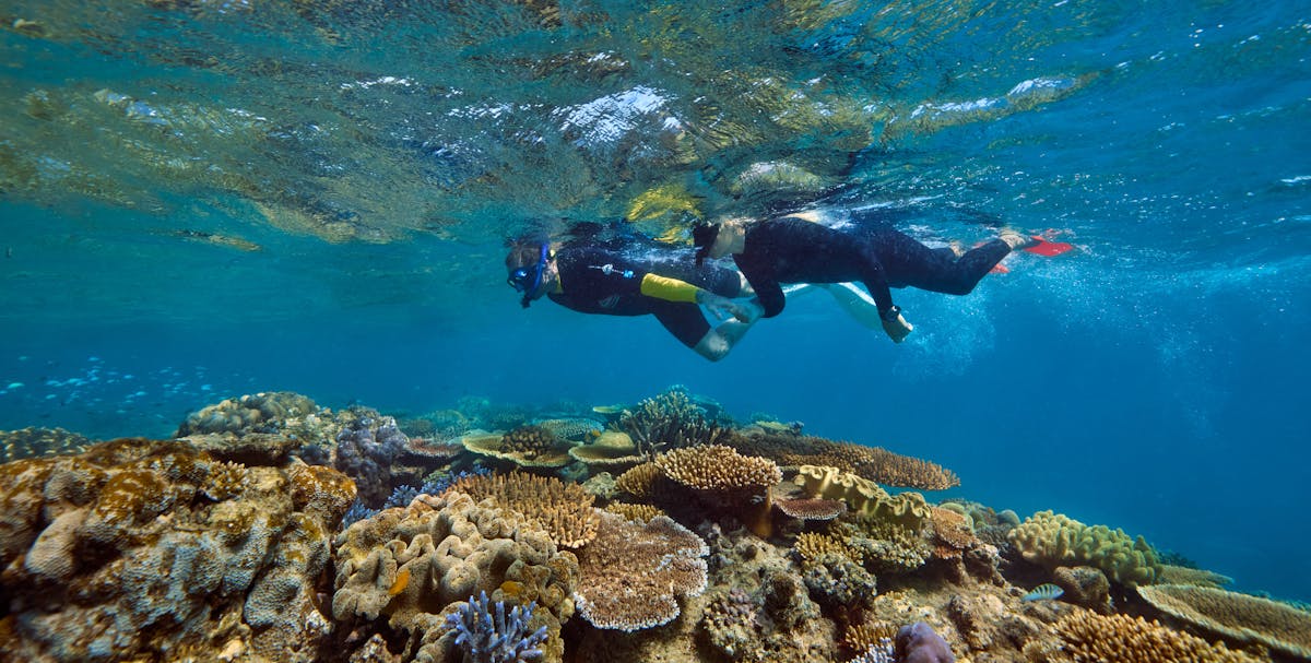 Snorkeling