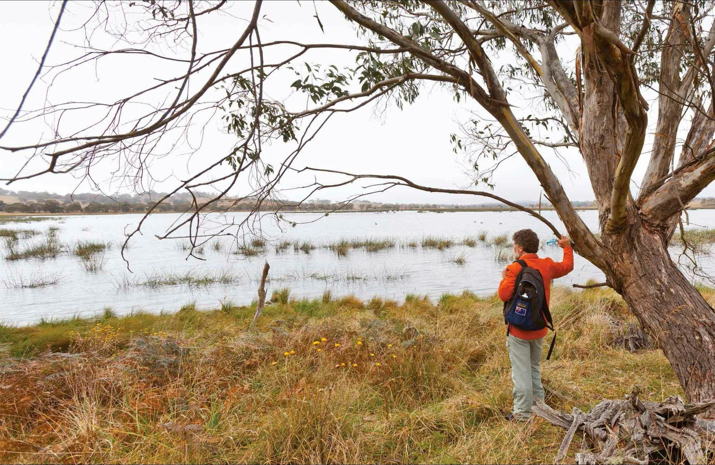 Little Llangothlin Nature Reserve NSW Holidays &