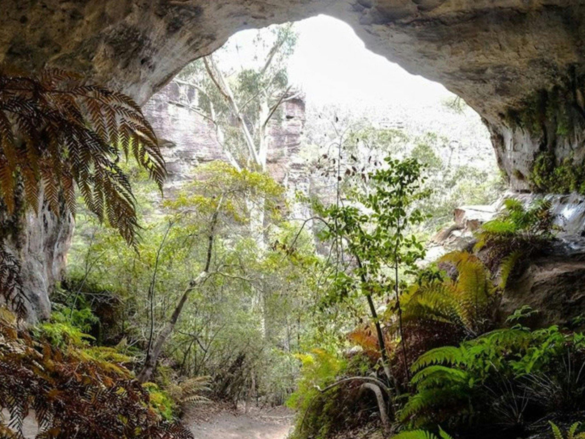 维多利亚山到布莱克希思