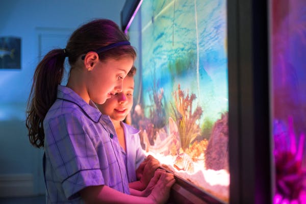 Marine Discovery Centre