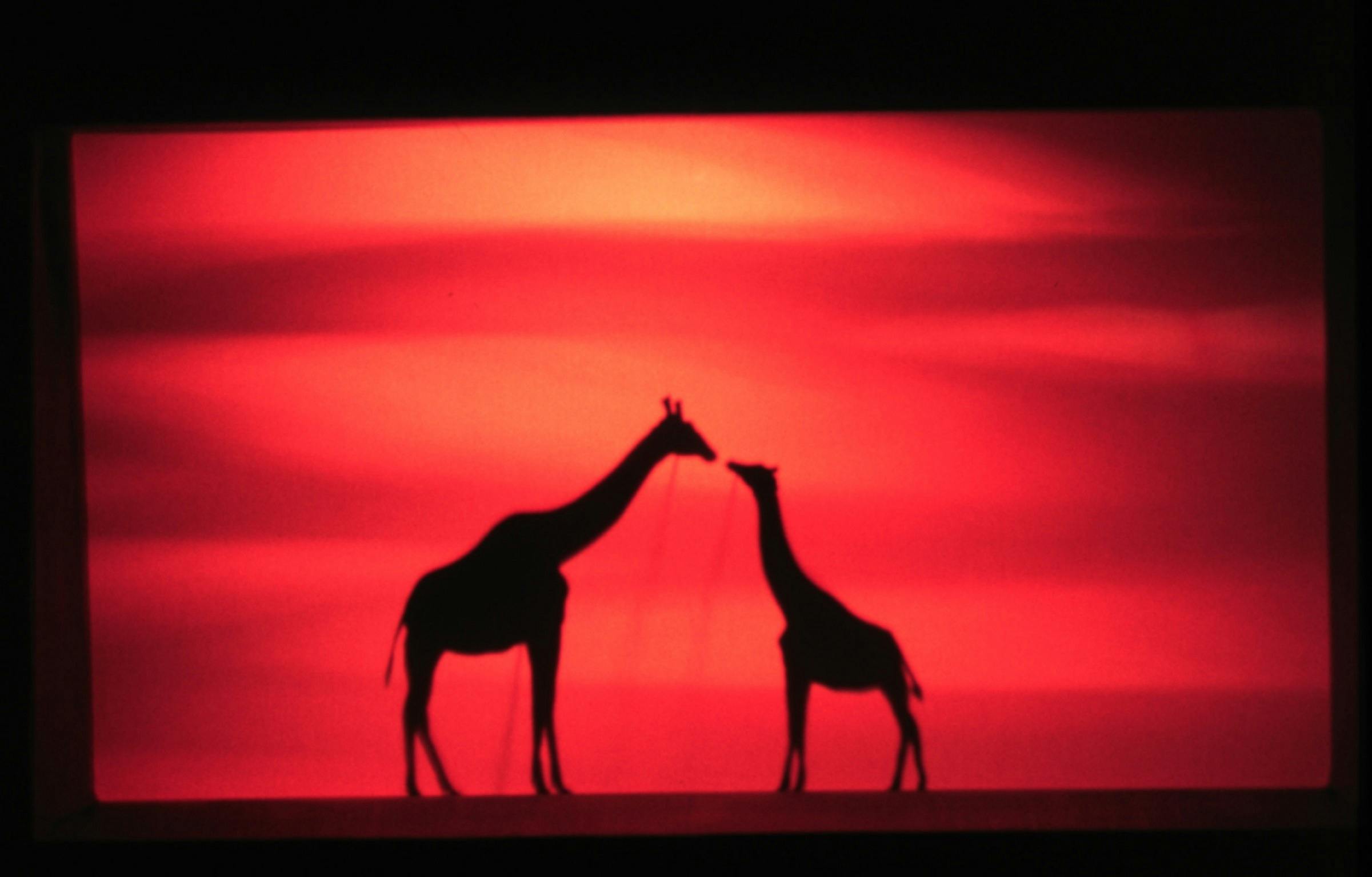 ImaginArta - the Australian Puppet Centre
