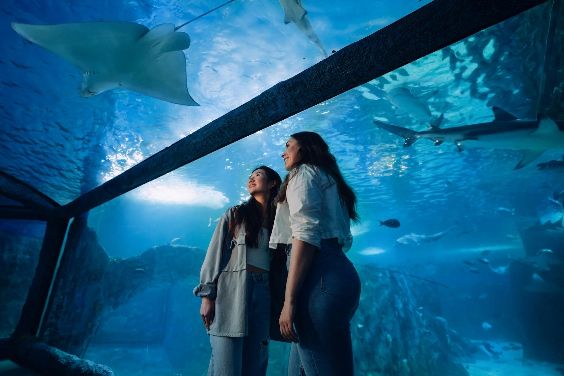 SEA LIFE Sydney Aquarium