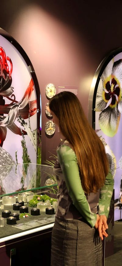 A visitor exploring the Royal Australian Mint Floral Impressions Exhibition