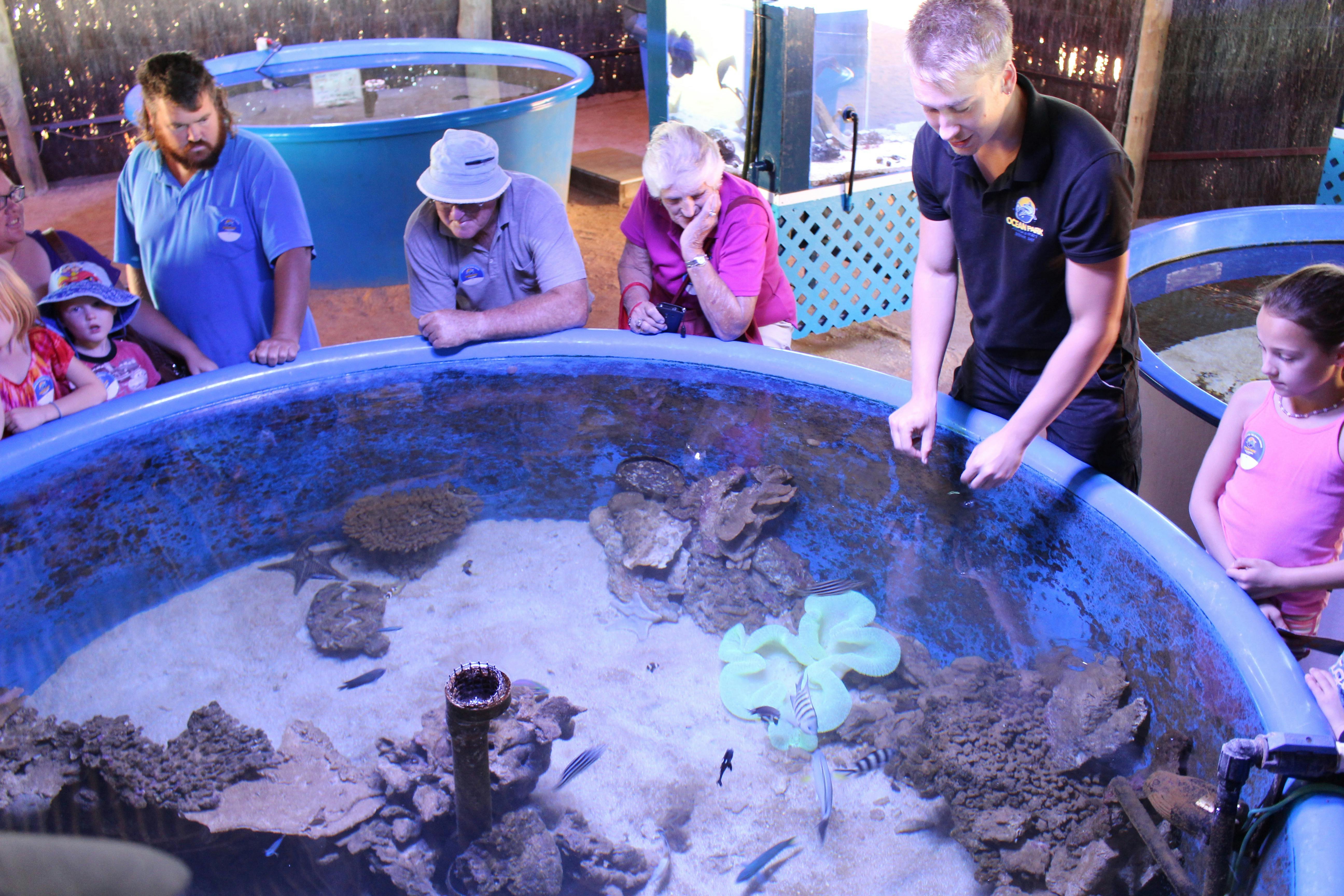 Ocean Park Aquarium