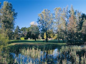 Catalina Country Club