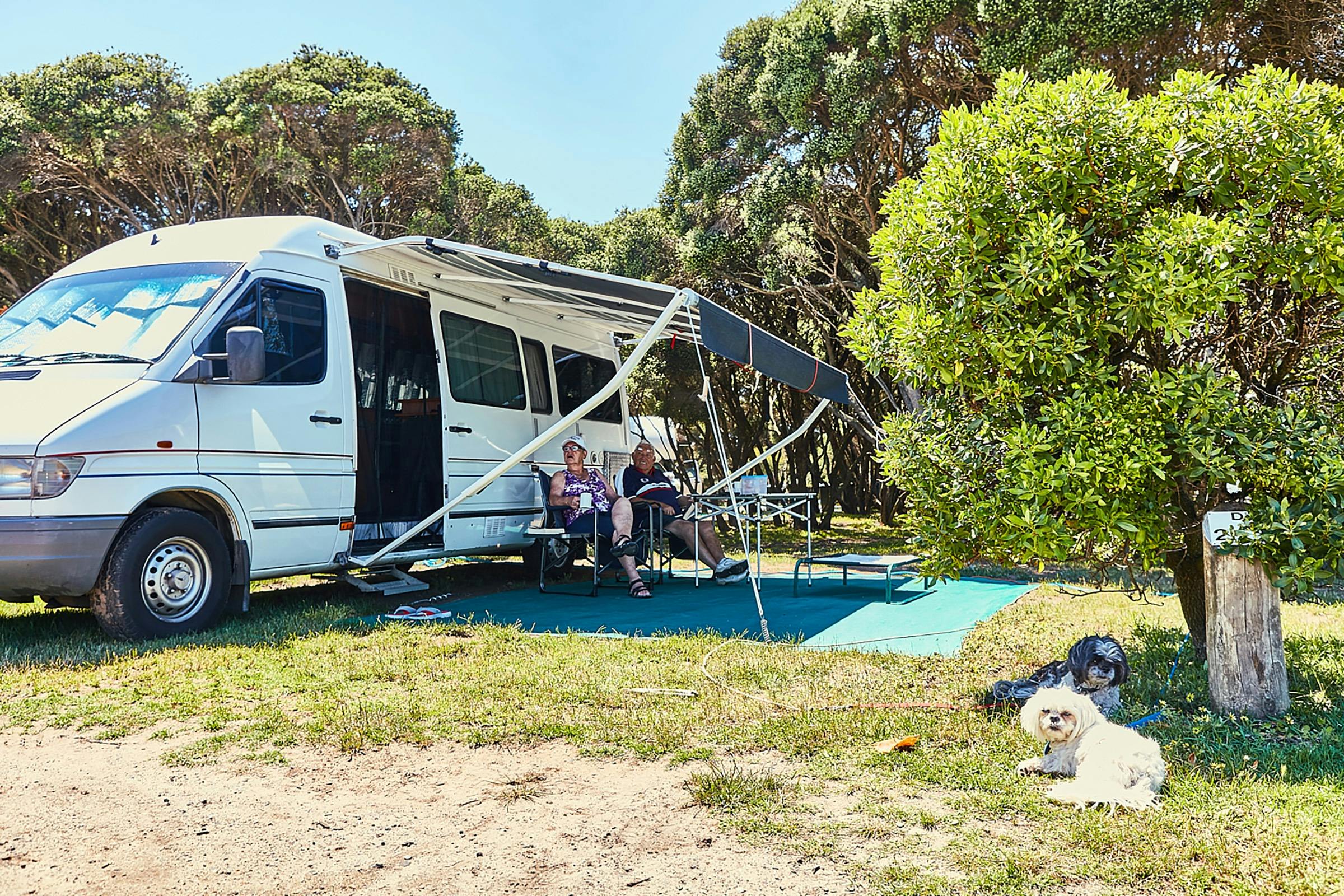 Anglesea Perfect for a natural adventure Anglesea Family Caravan Park