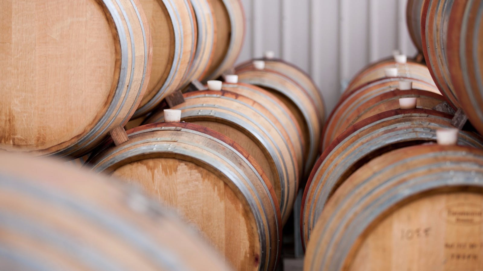 Vines and Wines Canberra Wine Tours
