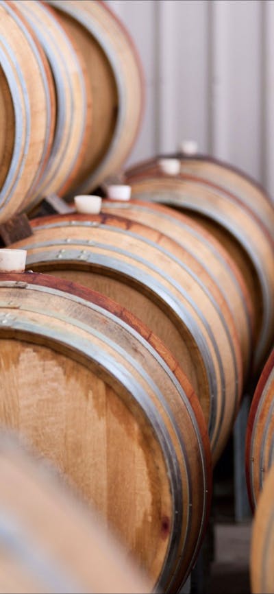 Barrels of wine