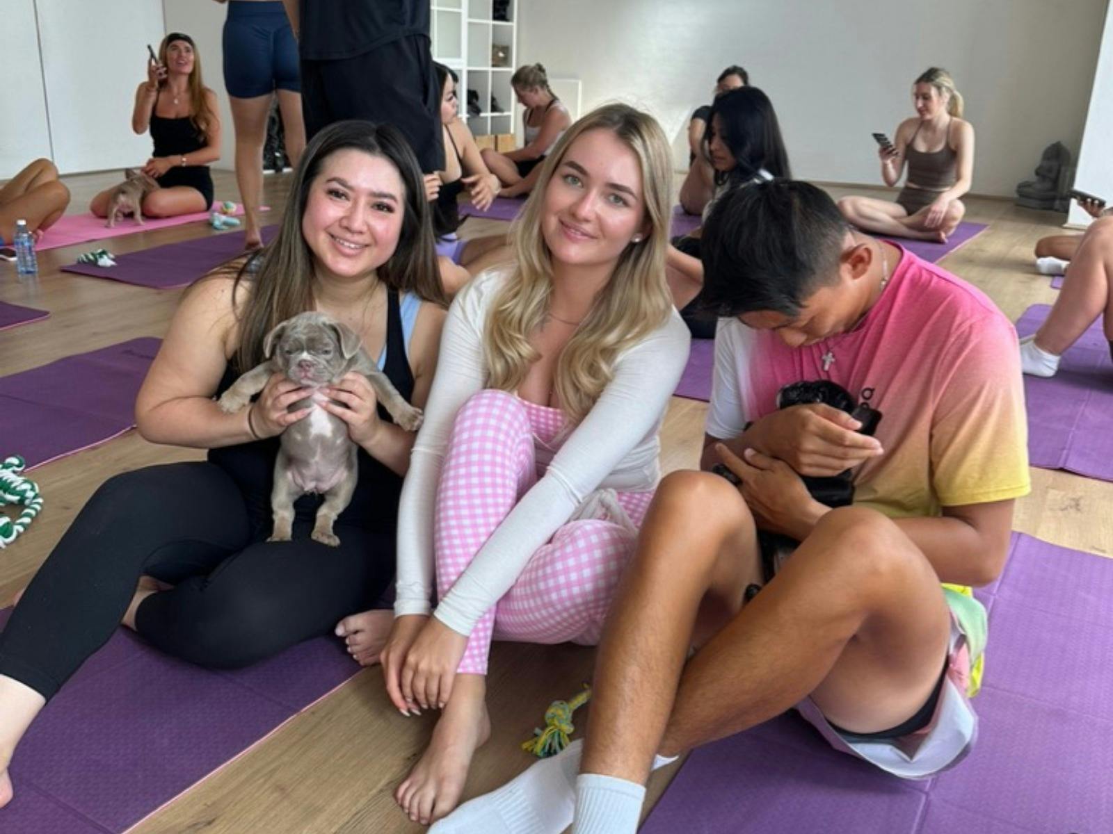 Yoga Paws - Sydney