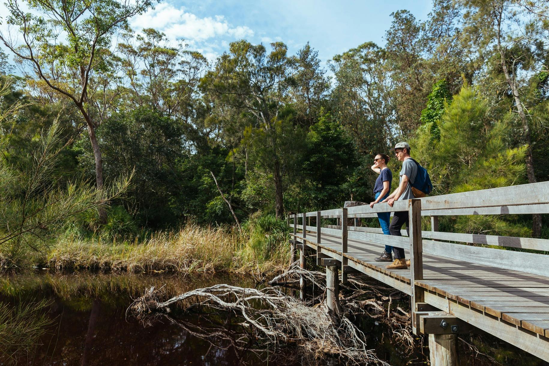 Brücke im Abrahams Bosom Reserve