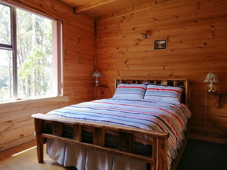 Minnow Cabins photo