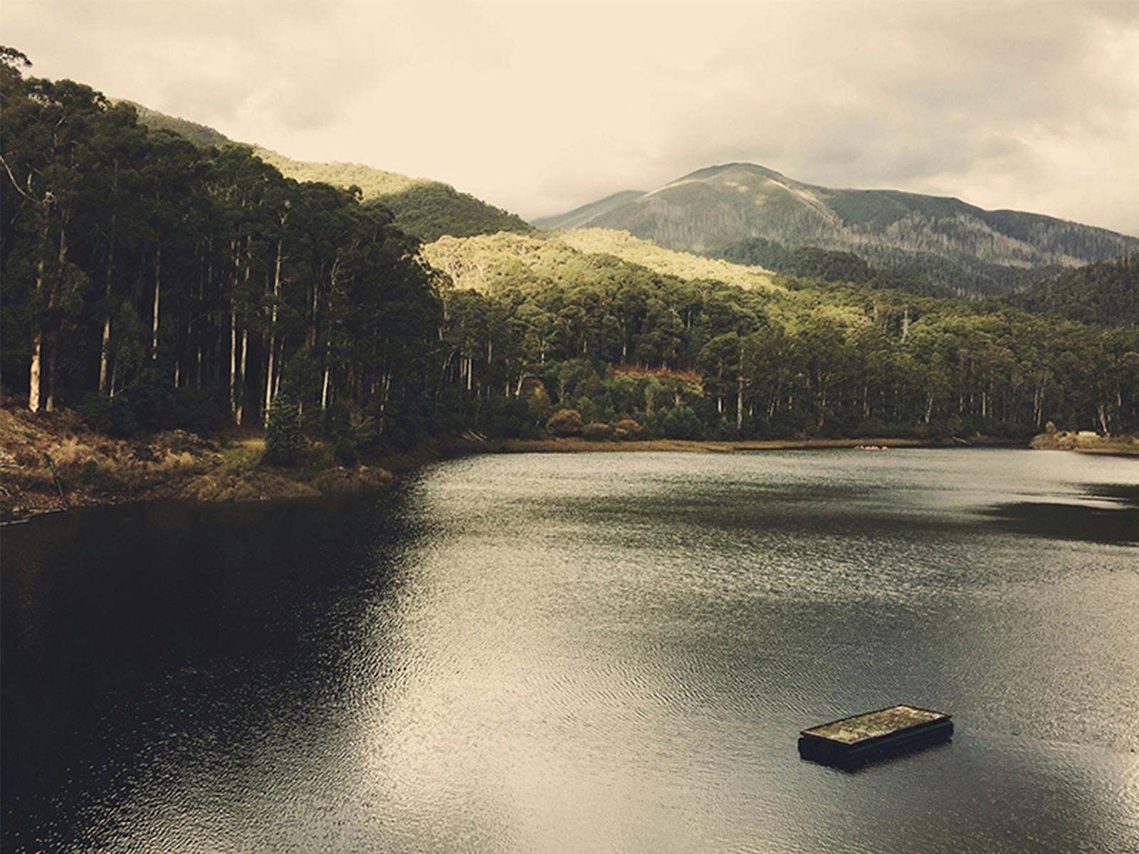 Image for Bogong Photography Field Trip