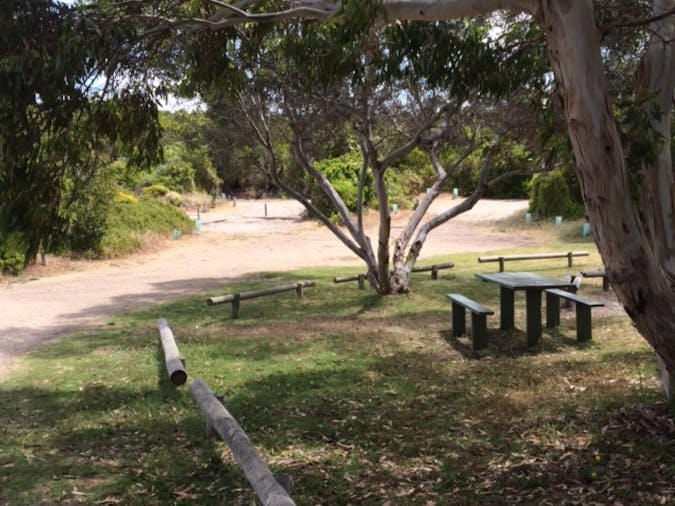 Kotgee Campground Canunda National Park
