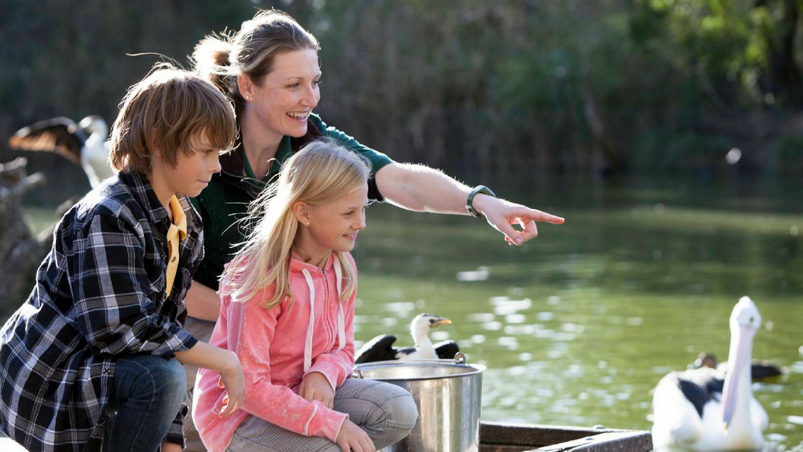 Cleland Wildlife Park
