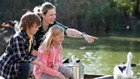 Cleland Wildlife Park