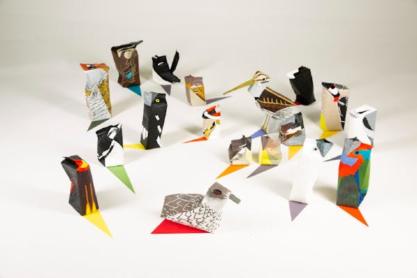 Singleton Arts & Cultural Exhibition - Avian Assembly