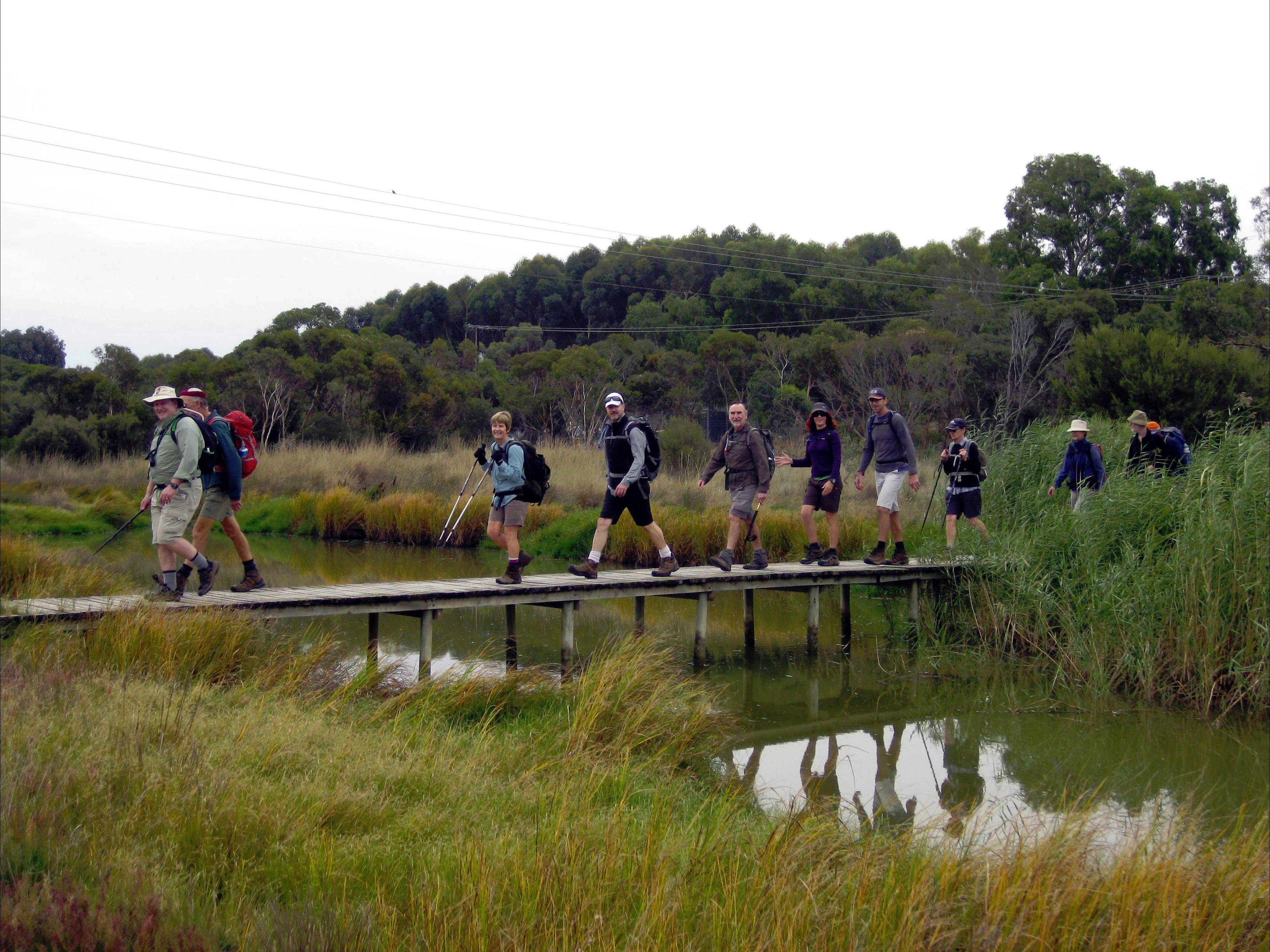 Rocky Gully Wetlands near the start of the trail at Murray Bridge