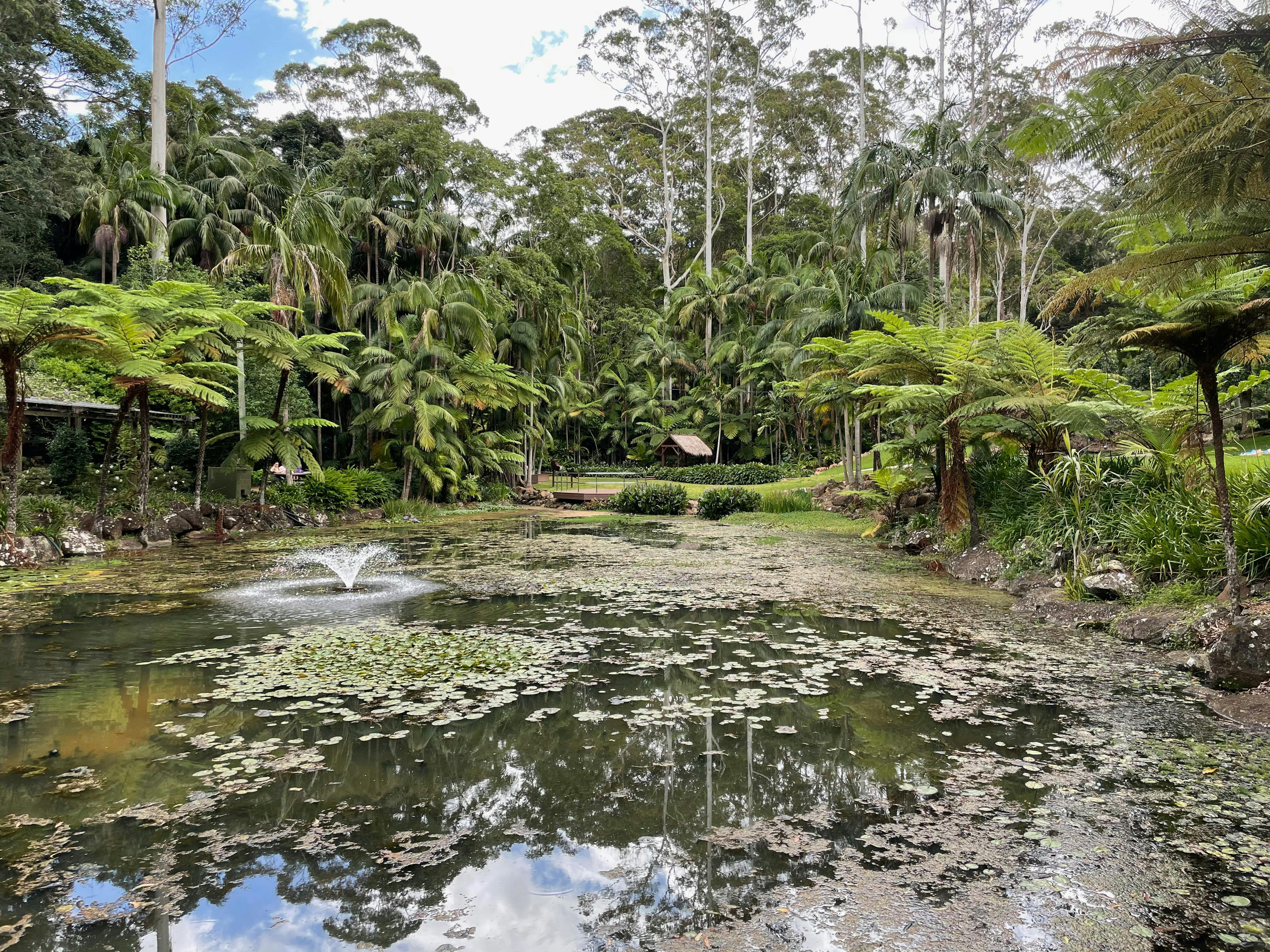 Mount Tamborine -  Wildfire Tours