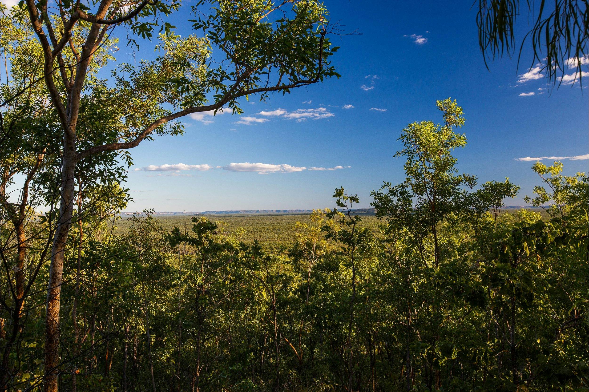 Mirray lookout walk