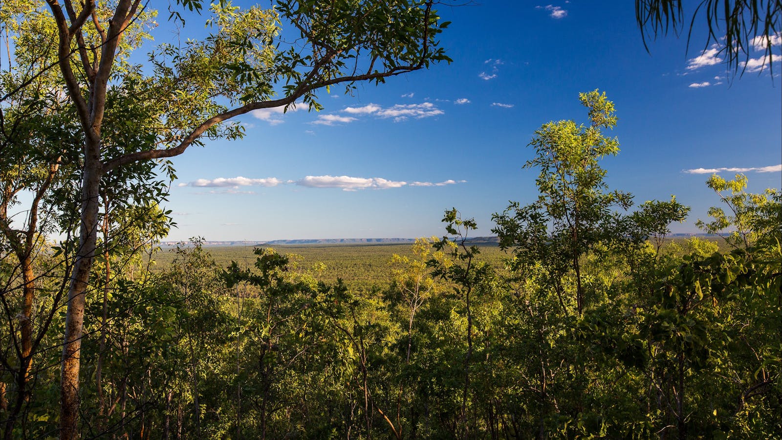 Mirray Lookout Walk