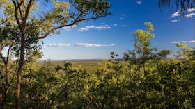 Mirrai Lookout