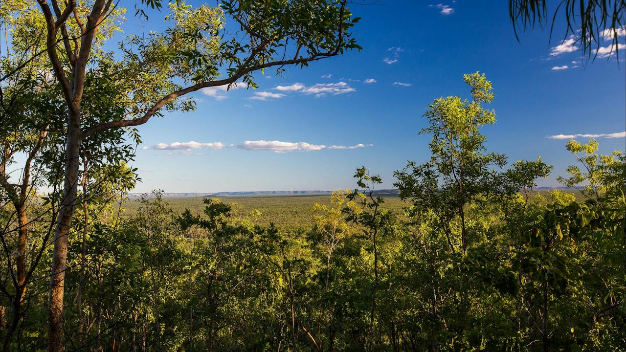 Mirrai Lookout