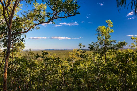 ミレー展望台の散歩