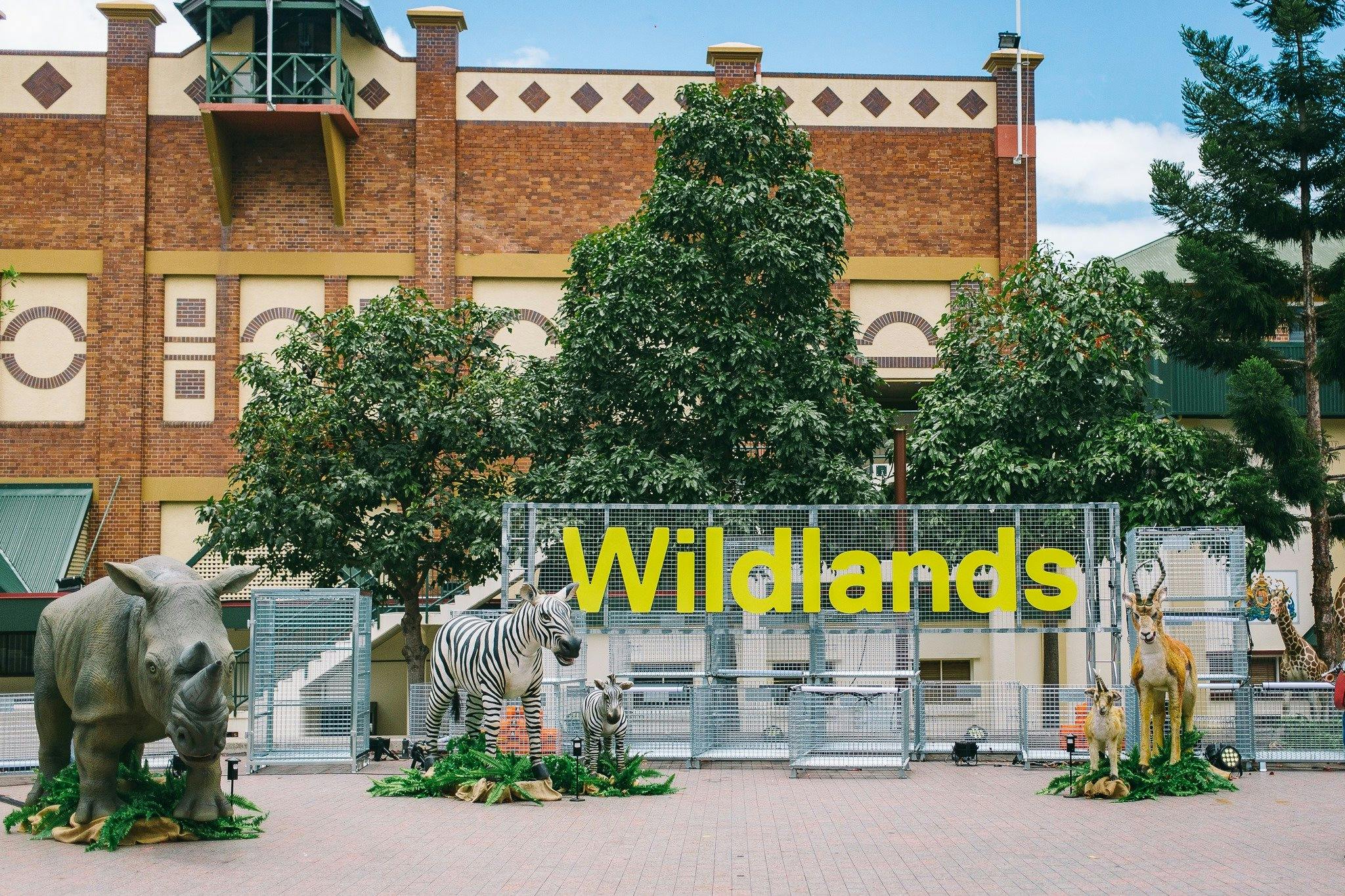 Animal sign at Wildlands 2021