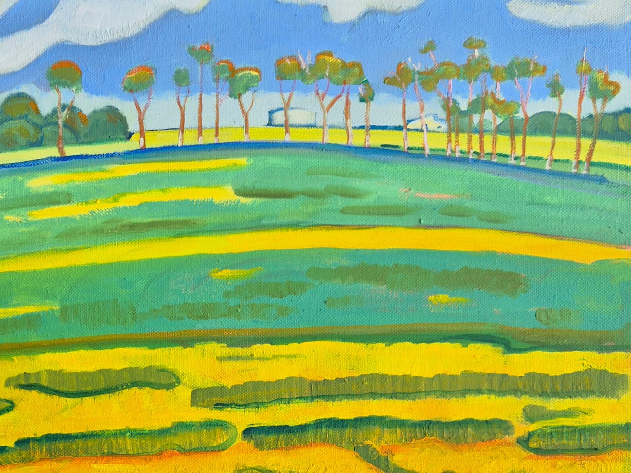 Yellow and green field with a blue sky.