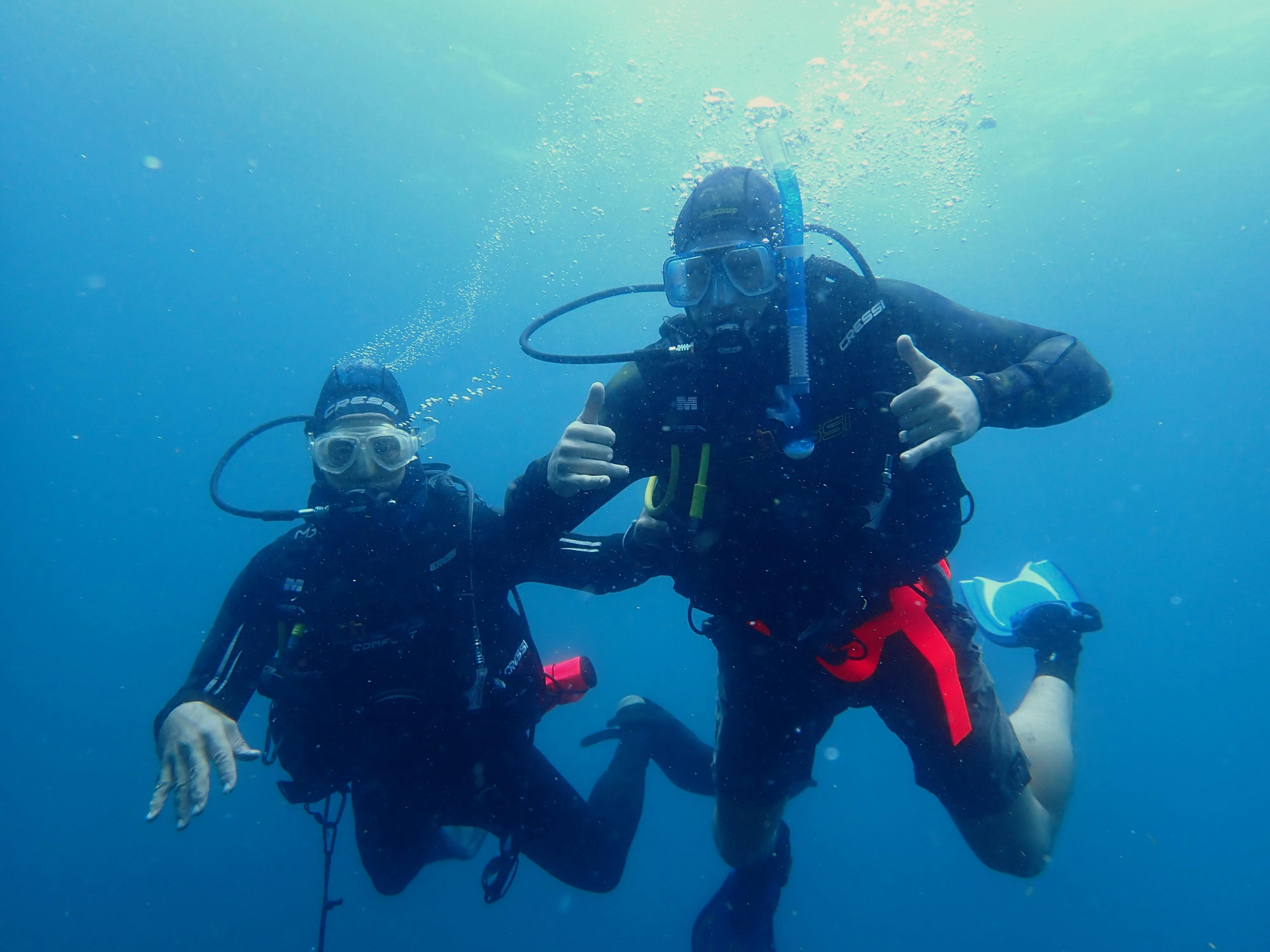 dive training